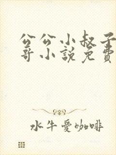 公公小叔子爸爸哥小说免费阅读全文