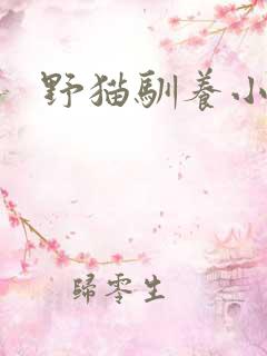 野猫驯养小说