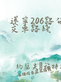 遂宁206路公交车路线