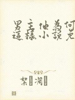 男主他为何总是这样小说免费阅读