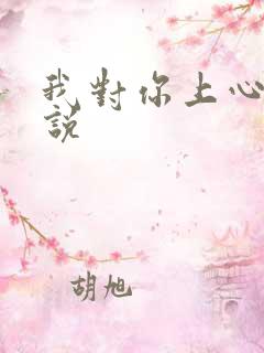 我对你上心了小说