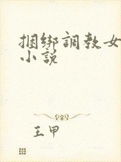 捆绑调教女警的小说