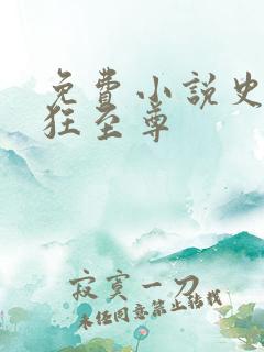 免费小说史上最狂至尊