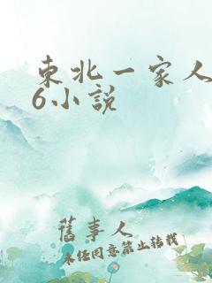 东北一家人1一6小说
