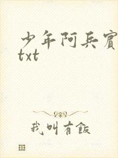 少年阿兵宾小说txt