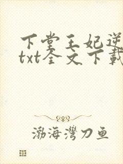 下堂王妃逆袭记txt全文下载