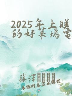 2025年上映的好莱坞电影