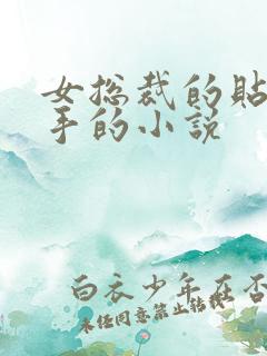 女总裁的贴身高手的小说