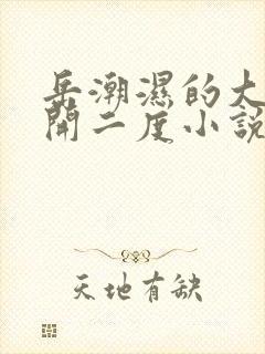 岳潮湿的大肥梅开二度小说