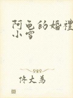 阿龟的婚礼新娘小雪