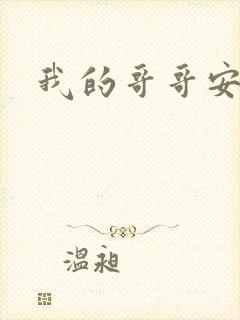 我的哥哥安小天