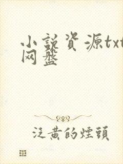 小说资源txt网盘