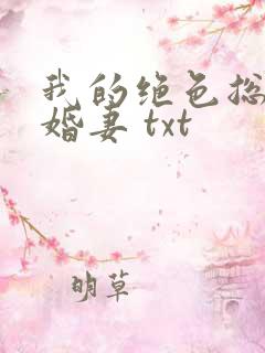 我的绝色总裁未婚妻 txt