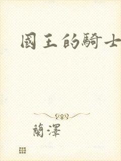 国王的骑士
