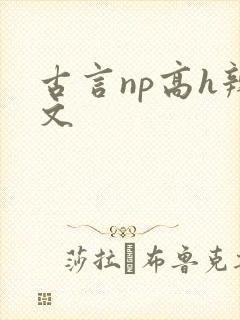 古言np高h辣文