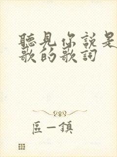 听见你说是哪首歌的歌词