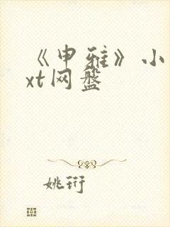 《申雅》小说txt网盘