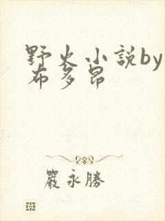 野火小说by夏布多昂