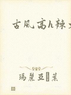 古风高h辣文