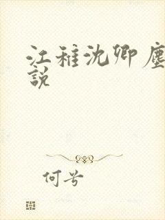 江稚沈卿尘的小说