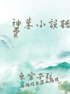 神墓小说听书免费