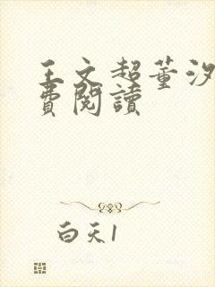 王文超董汐瑜免费阅读