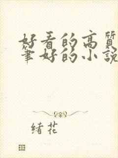 好看的高质量文笔好的小说