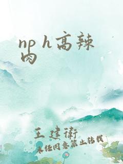 np h高辣 肉