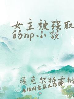 女主被强取豪夺的np小说