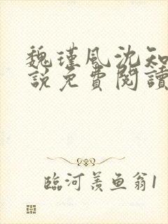 魏瑾风沈知玉小说免费阅读最新章节