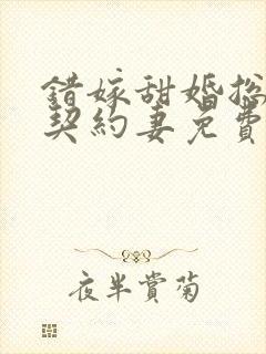 错嫁甜婚总裁的契约妻免费