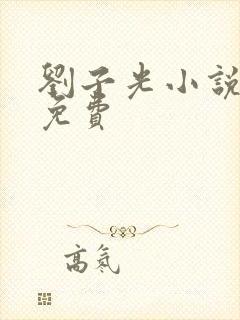 刘子光小说全文免费