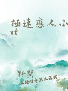 极速恋人小说txt