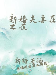 新婚夫妻在新婚之夜