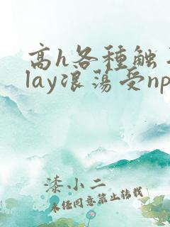 高h各种触手play浪荡受np