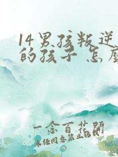 14男孩叛逆期的孩子 怎么去引导