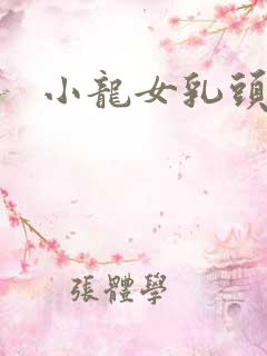 小龙女乳头