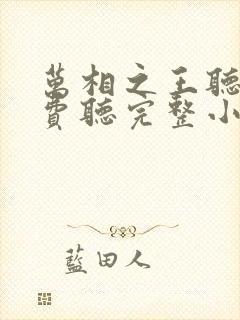 万相之王听书免费听完整小说