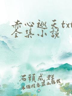 赤心巡天txt全集小说