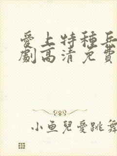 爱上特种兵电视剧高清免费观看