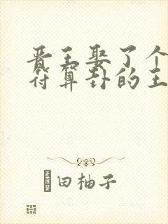 晋王娶了个会画符算卦的王妃小说