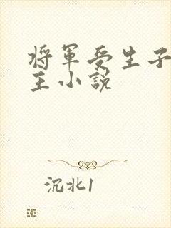 将军受生子双男主小说