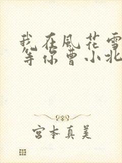 我在风花雪月里等你曹小北结局