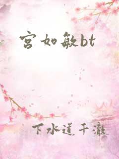 宫如敏bt