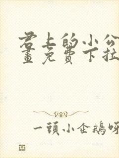 君上的小公主漫画免费下拉式六漫画