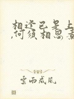 相逢已是上上签,何须相思煮余年是什么意思