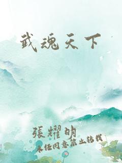 武魂天下