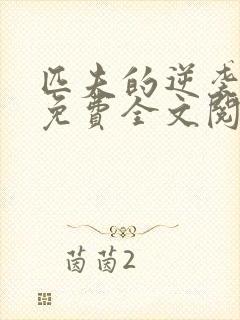 匹夫的逆袭小说免费全文阅读