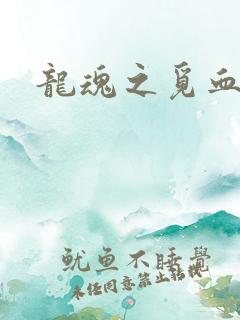 龙魂之觅血心缘