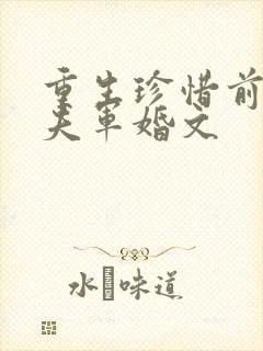 重生珍惜前世丈夫军婚文